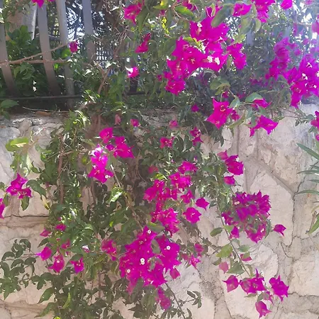 Appartement Miranda 2 *