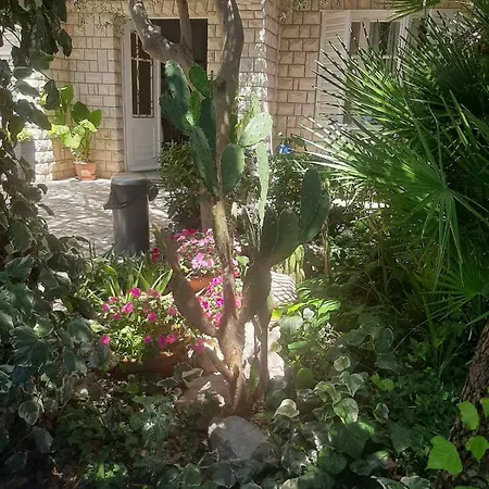 Miranda 2 Barbat na Rabu