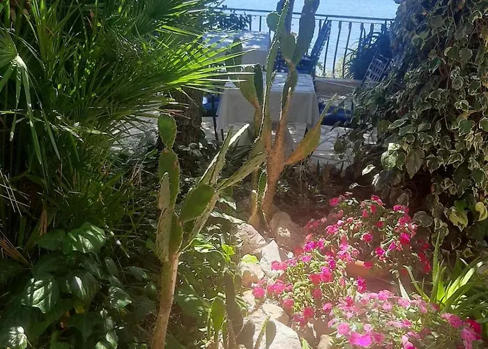 Miranda 2 Barbat na Rabu