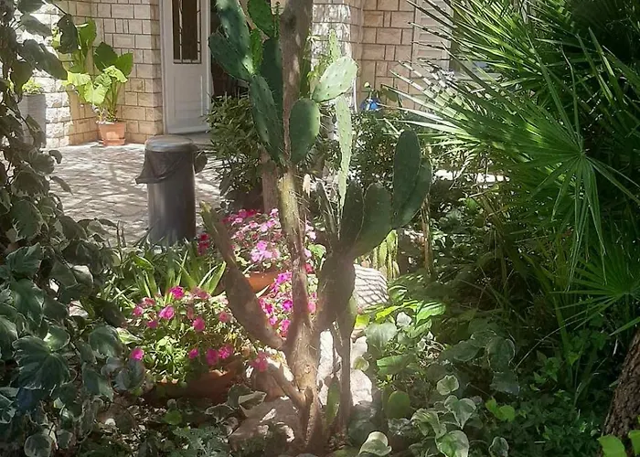 Miranda 2 Barbat na Rabu